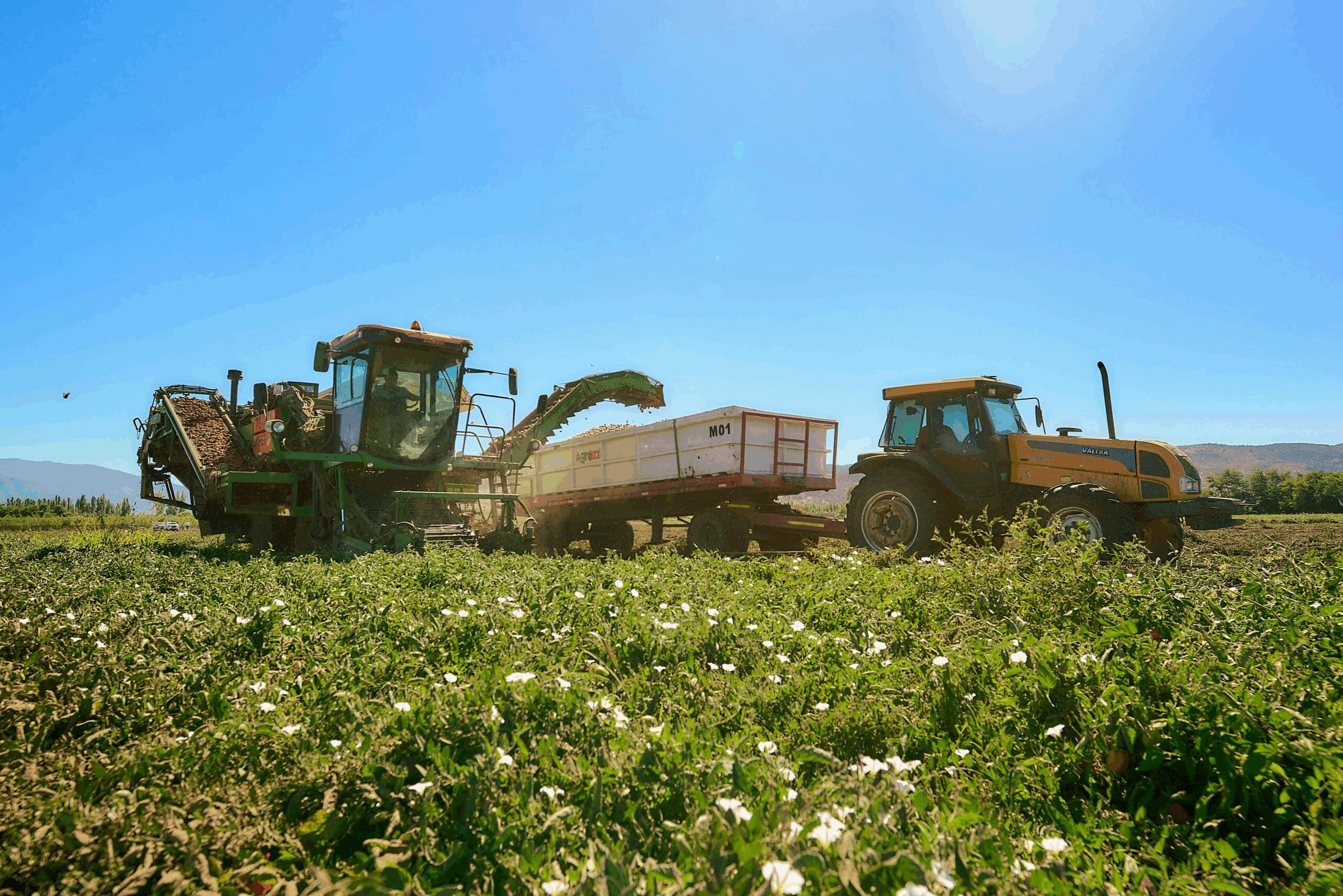 Temporada Agrícola 2025: Resiliencia, Colaboración y Resultados en un Entorno Cambiante - Agrozzi